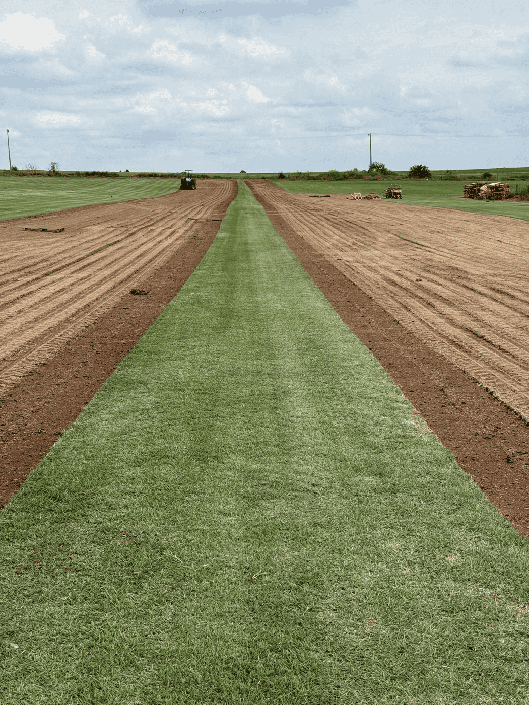 Fazenda — Sede, alojamento e currais